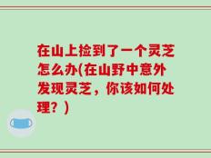 在山上捡到了一个灵芝怎么办(在山野中意外发现灵芝，你该如何处理？)