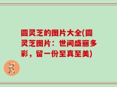 圆灵芝的图片大全(圆灵芝图片：世间盛丽多彩，留一份至真至美)