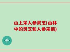 山上采人参灵芝(山林中的灵芝和人参采摘)