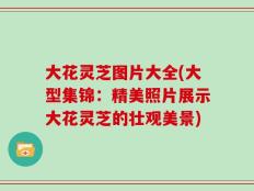 大花灵芝图片大全(大型集锦：精美照片展示大花灵芝的壮观美景)