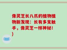 像灵芝长八爪的植物植物新发现：长有多支触手，像灵芝一样神秘！)