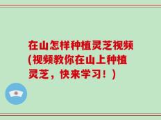 在山怎样种植灵芝视频(视频教你在山上种植灵芝，快来学习！)