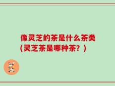 像灵芝的茶是什么茶类(灵芝茶是哪种茶？)