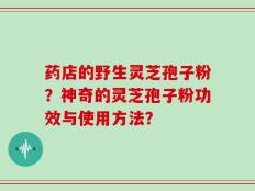 药店的野生灵芝孢子粉？神奇的灵芝孢子粉功效与使用方法？