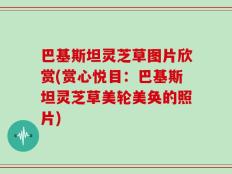 巴基斯坦灵芝草图片欣赏(赏心悦目：巴基斯坦灵芝草美轮美奂的照片)