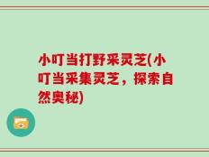 小叮当打野采灵芝(小叮当采集灵芝，探索自然奥秘)