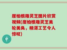 崖柏根雕灵芝图片欣赏视频(崖柏根雕灵芝美轮美奂，精湛工艺令人惊叹)