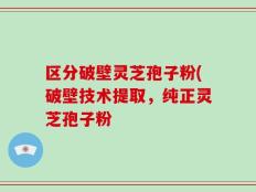 区分破壁灵芝孢子粉(破壁技术提取，纯正灵芝孢子粉
