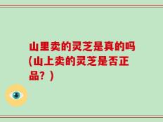 山里卖的灵芝是真的吗(山上卖的灵芝是否正品？)
