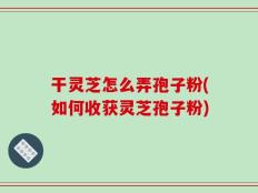 干灵芝怎么弄孢子粉(如何收获灵芝孢子粉)