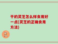 干的灵芝怎么样食用好一点(灵芝的正确食用方法)