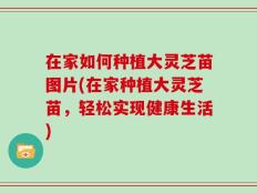 在家如何种植大灵芝苗图片(在家种植大灵芝苗，轻松实现健康生活)