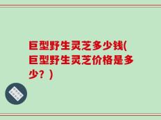 巨型野生灵芝多少钱(巨型野生灵芝价格是多少？)