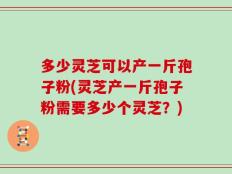 多少灵芝可以产一斤孢子粉(灵芝产一斤孢子粉需要多少个灵芝？)