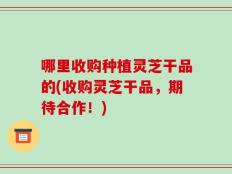 哪里收购种植灵芝干品的(收购灵芝干品，期待合作！)