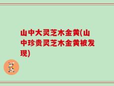 山中大灵芝木金黄(山中珍贵灵芝木金黄被发现)