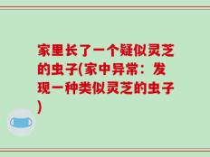 家里长了一个疑似灵芝的虫子(家中异常：发现一种类似灵芝的虫子)