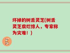 坏掉的树舌灵芝(树舌灵芝腐烂惊人，专家称为灾难！)