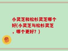小灵芝和松杉灵芝哪个好(小灵芝与松杉灵芝，哪个更好？)