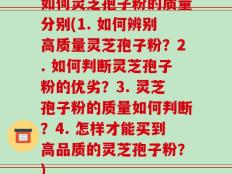 如何灵芝孢子粉的质量分别(1. 如何辨别高质量灵芝孢子粉？2. 如何判断灵芝孢子粉的优劣？3. 灵芝孢子粉的质量如何判断？4. 怎样才能买到高品质的灵芝孢子粉？)