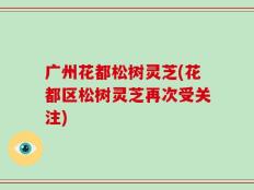 广州花都松树灵芝(花都区松树灵芝再次受关注)