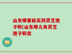 山东哪里能买到灵芝孢子粉(山东哪儿有灵芝孢子粉卖