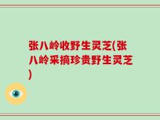 张八岭收野生灵芝(张八岭采摘珍贵野生灵芝)