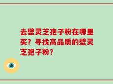 去壁灵芝孢子粉在哪里买？寻找高品质的壁灵芝孢子粉？