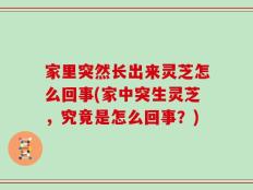 家里突然长出来灵芝怎么回事(家中突生灵芝，究竟是怎么回事？)