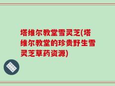 塔维尔教堂雪灵芝(塔维尔教堂的珍贵野生雪灵芝草药资源)