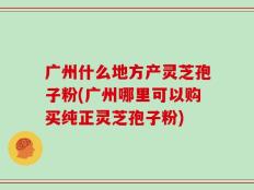 广州什么地方产灵芝孢子粉(广州哪里可以购买纯正灵芝孢子粉)