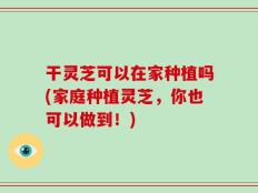 干灵芝可以在家种植吗(家庭种植灵芝，你也可以做到！)