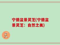 宁德盆景灵芝(宁德盆景灵芝：自然之美)