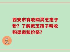西安市有收购灵芝孢子粉？了解灵芝孢子粉收购渠道和价格？
