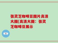 张灵芝咖啡豆图片高清大图(高清大图：张灵芝咖啡豆展示