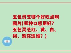五色灵芝哪个好吃点啊图片(哪种口感更好？五色灵芝红、黄、白、褐、紫你选谁？)