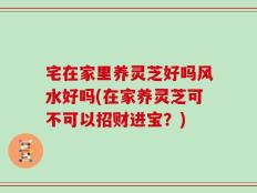 宅在家里养灵芝好吗风水好吗(在家养灵芝可不可以招财进宝？)