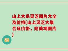 山上大采灵芝图片大全及价格(山上灵芝大集合及价格，附美观图片)