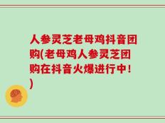 人参灵芝老母鸡抖音团购(老母鸡人参灵芝团购在抖音火爆进行中！)