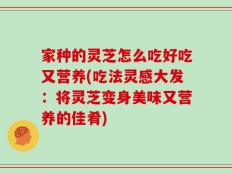 家种的灵芝怎么吃好吃又营养(吃法灵感大发：将灵芝变身美味又营养的佳肴)