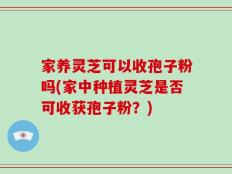 家养灵芝可以收孢子粉吗(家中种植灵芝是否可收获孢子粉？)