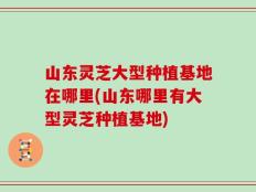 山东灵芝大型种植基地在哪里(山东哪里有大型灵芝种植基地)