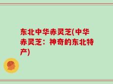 东北中华赤灵芝(中华赤灵芝：神奇的东北特产)