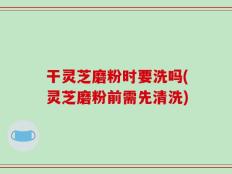 干灵芝磨粉时要洗吗(灵芝磨粉前需先清洗)