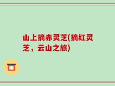 山上摘赤灵芝(摘红灵芝，云山之旅)