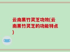 云南黑竹灵芝功效(云南黑竹灵芝的功能特点)