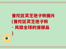 普陀区灵芝孢子粉图片(普陀区灵芝孢子粉 - 风靡全球的保健品)