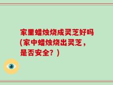 家里蜡烛烧成灵芝好吗(家中蜡烛烧出灵芝，是否安全？)