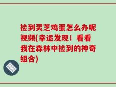 捡到灵芝鸡蛋怎么办呢视频(幸运发现！看看我在森林中捡到的神奇组合)
