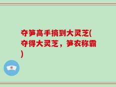 夺笋高手摘到大灵芝(夺得大灵芝，笋农称霸)